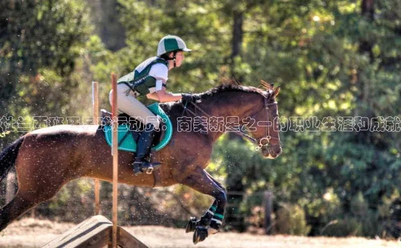 焦点注册入口美团杜兰西班牙足球运动员：南美新星之一的职业生涯和成就