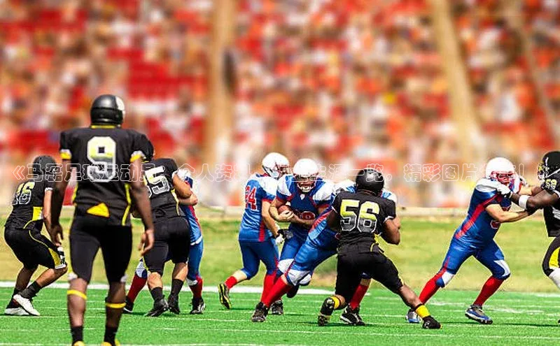 焦点登录平台登录入口百度人工翻译《马磊足球运动员：个人资料、职业生涯一览，精彩图片分享！》