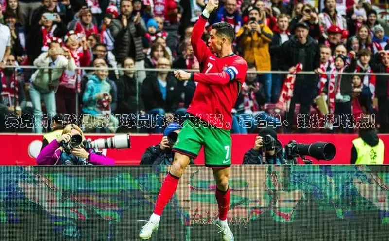 焦点娱乐平台登录ARGA公司宾克斯足球俱乐部球员阵容大揭秘，看名单、数据和特点！