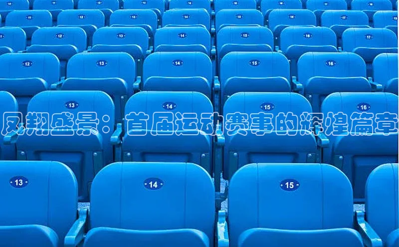 凤翔盛景：首届运动赛事的辉煌篇章