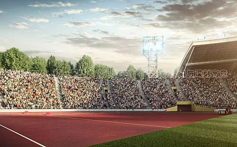 焦点娱乐入口登录网址