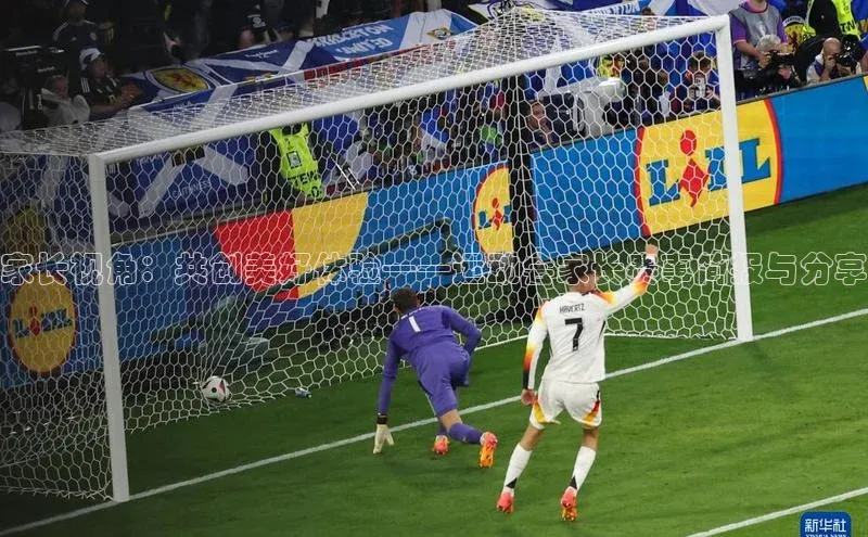 焦点中文app登录入口