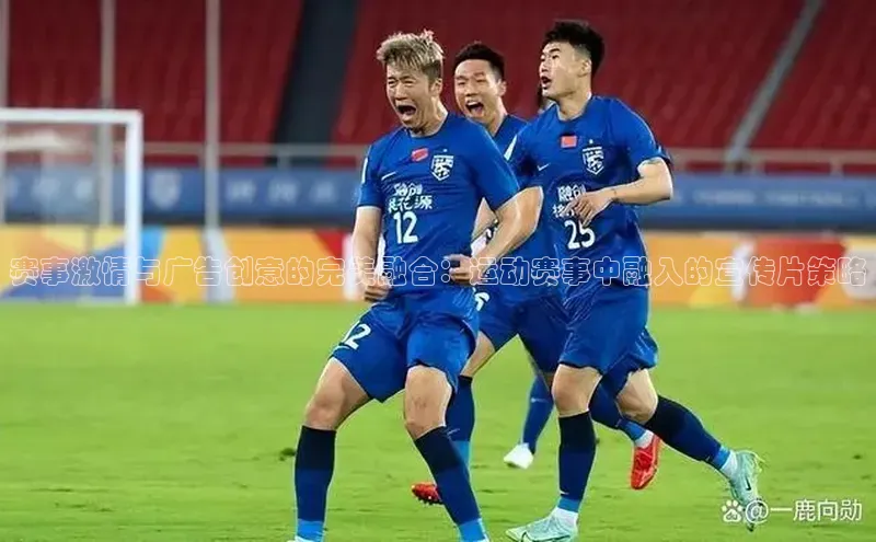 焦点中文app登录入口