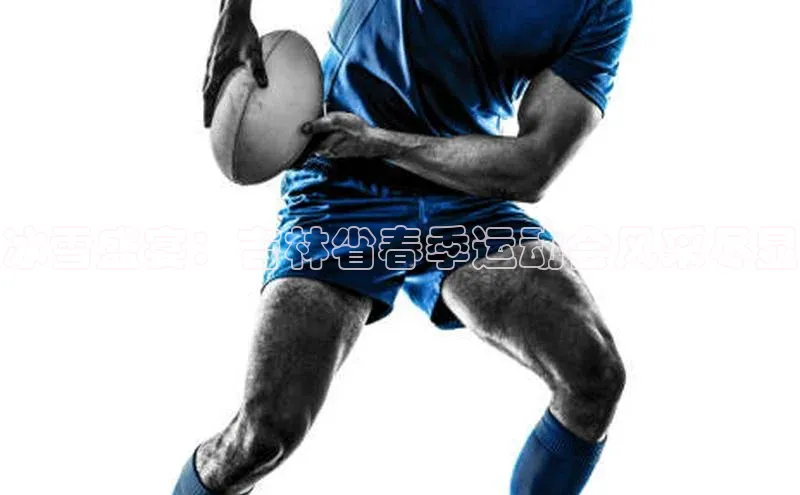 焦点娱乐app下载官网