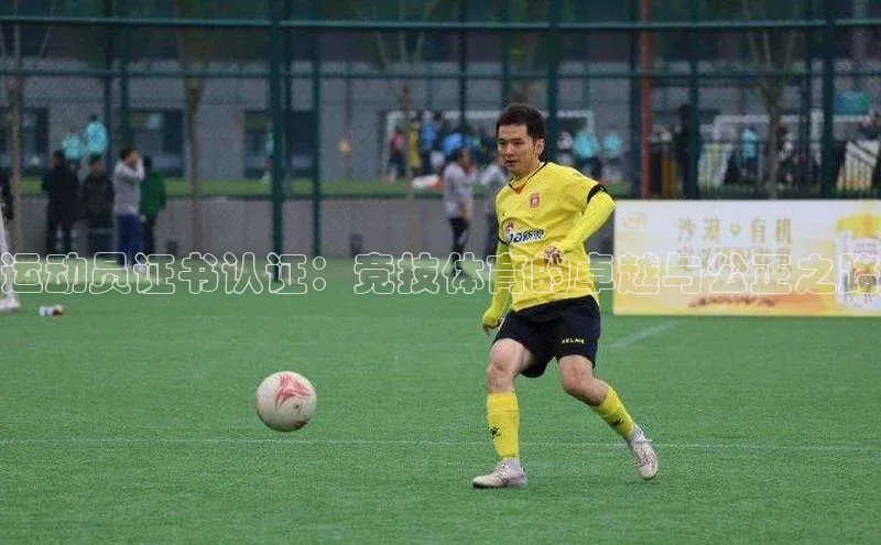 焦点娱乐app下载