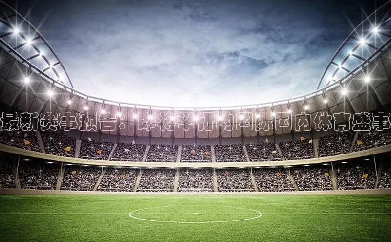 焦点中文app登录入口