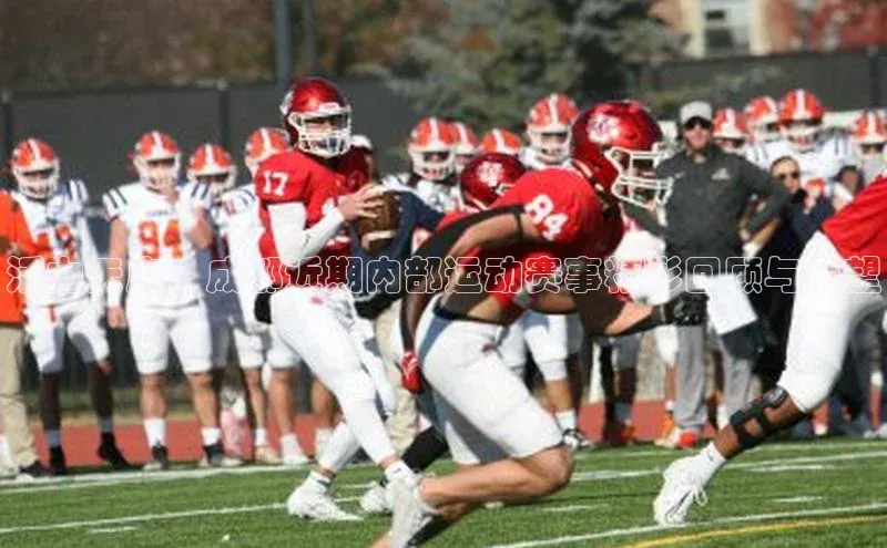 活力天府：成都近期内部运动赛事精彩回顾与展望