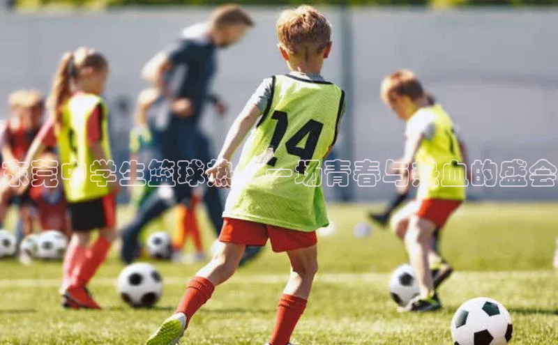 东莞中学生篮球热：一场青春与热血的盛会